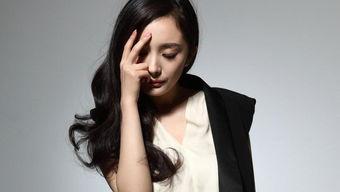 明星卡套推荐图,时尚潮流与个性展示的完美融合