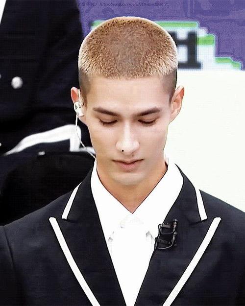 卡子吃瓜博主,揭秘娱乐圈背后的那些事儿