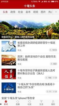 头条用户杨柳123,揭秘头条热门用户背后的故事