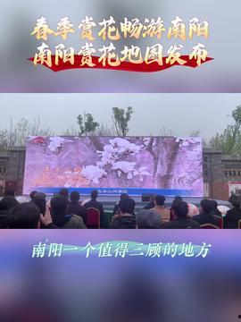 今日头条南阳旅游,体验千年文化之旅