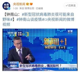 微头条福建专用日签,探寻八闽大地的人文风情与自然美景”