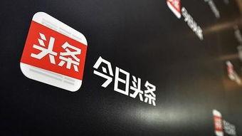 今日头条黎辛,揭秘今日头条背后的内容生态与算法奥秘