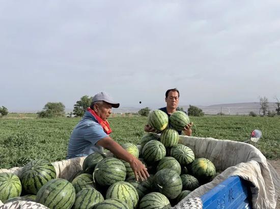 商都吃瓜,揭秘吃瓜群众的趣味生活