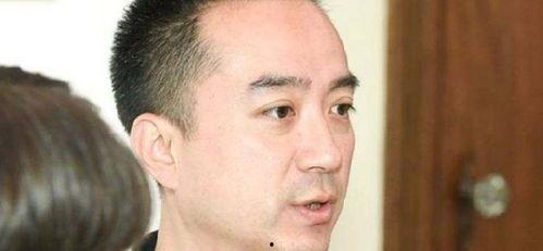 明星艺人金锋,闪耀星途，璀璨人生