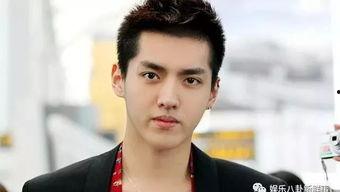 新生鲜肉明星,新生代鲜肉明星的崛起之路