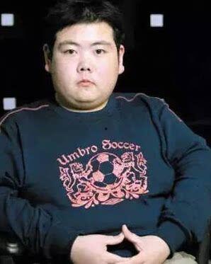 网红小胖墩图片,胖界新宠，萌态可掬的“胖胖”魅力