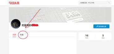 头条在哪里查看信息,一键掌握最新热点动态